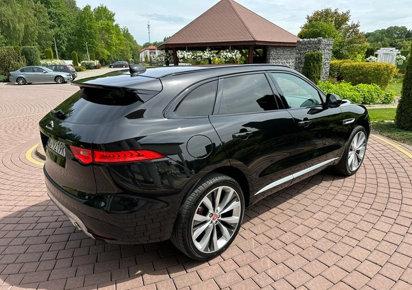 Jaguar F-Pace cena 149900 przebieg: 55000, rok produkcji 2016 z Górzno małe 781